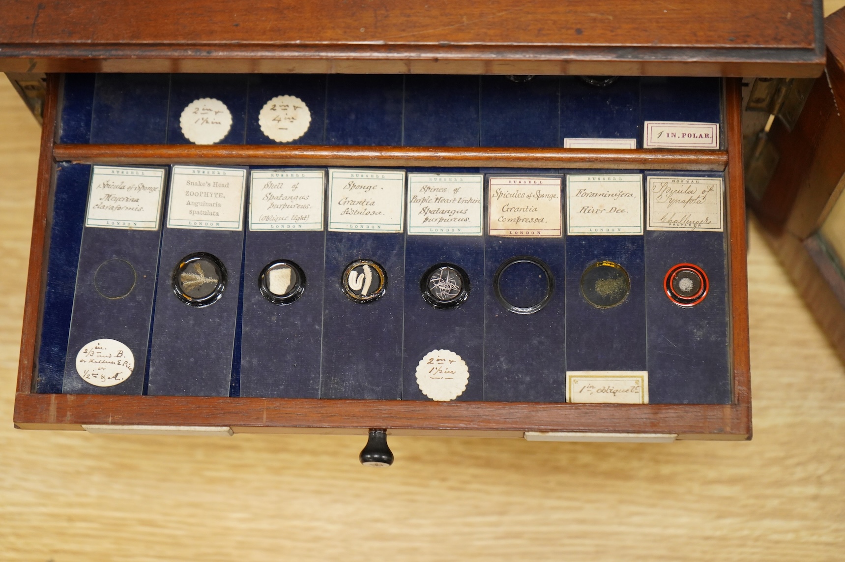 A 19th century mahogany cased slide box, fitted with 13 slide trays, housing approximately 290 slides of mineral, plant, animal and fossil specimens, 26cm wide, 19cm high, 29.5cm deep CITES Submission reference 514GC1XX